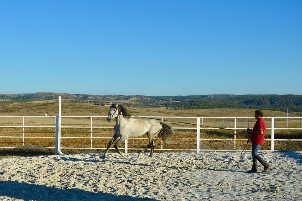 Rural Reillo Alojamientos Rurales エクステリア 写真