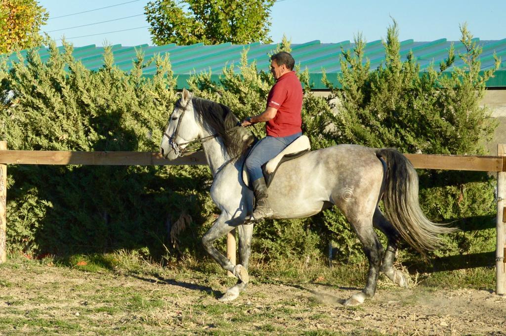 Rural Reillo Alojamientos Rurales エクステリア 写真