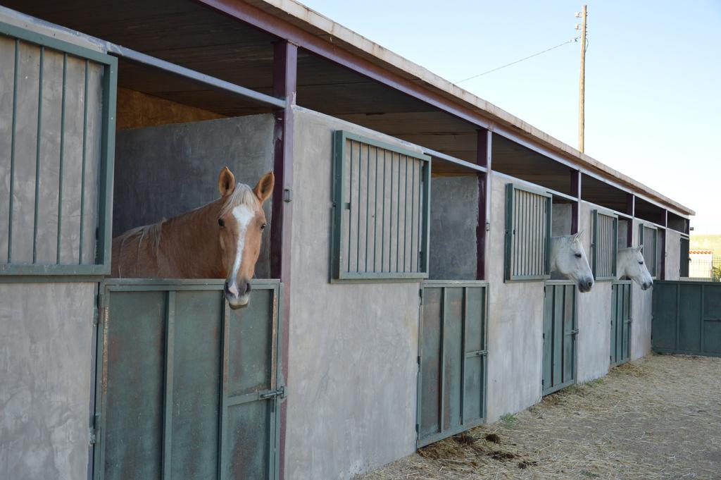 Rural Reillo Alojamientos Rurales エクステリア 写真