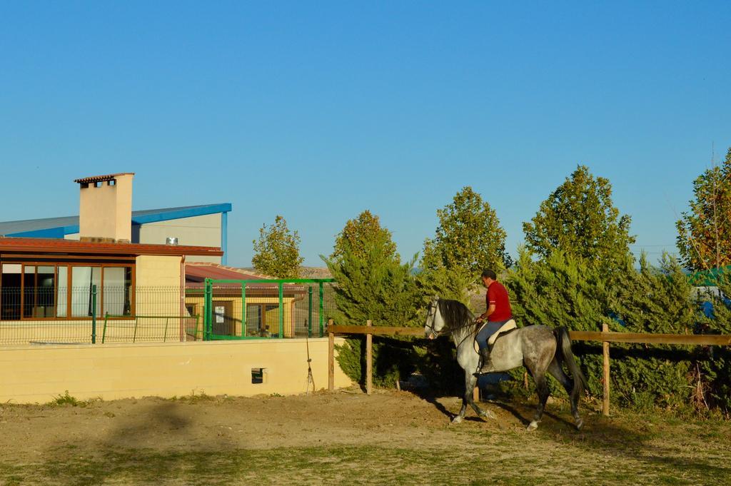 Rural Reillo Alojamientos Rurales エクステリア 写真